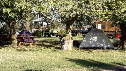 iniciarse al campamento, base, acampada, camping, acampar, camper, refugio, dormi, donde dormir, cabaña, hospedaje, donde hospedarse, hotel barato, ambiente, sala de maquinas, exclusivo, exclusividad, camping de lujo, glamping argentina, relax, relajarse, relajacion, siesta, tranquilidad, sosiego, estancia, pasto, aire, acondicionado, desayuno, mate en la cama, pileta, sombrilla, colchoneta inflable, fin de semana, week end, sabado, domingo, feriado, fin de semana largo, feriado puente, salida, parejas, turismo rural, viaje, viajecito escapada, viajeta, cerca, capital, pocos km, costa atlantica, autopista zona sur, lobos, cañuelas, san miguel del monte, uribelarrea, udaondo abott, campo, fogon, bolsa de dormir, linternas, mosquitero, pesca, paseos en globo, planeadores, alquiler cuatriciclos, cabalgatas, cabalgar, caballos, parque4x4, smata, maximo paz, vicente casares, ezeiza, horno de barro, asado, amigos, familia, chicos chicos, pequeños, primera experiencia, naturaleza, verde, salir a pescar, hacer un fueguito, leer un libro, tranquilo, hamaca, paraguaya, siesta en los arboles, pastos altos, fogon, parrilla, disco de arado, deportes aventura, escapar de la rutina, quincho, juegos para chicos, escaladores, atardecer, niebla, abierto todo el año, atendido por sus dueños, ropa de cama, frazadas, mangrullo, reposeras, pic-nic, pic nic, campestre, atardecer, pajaros, chacra, las primorosas, chacras del alba, termas del salado, esculturas al aire libre, sala de maquinas, parque 4x4 conduccion defensiva, 4x4 y atv cuatris bosques, pasar el dia, dia de campo,