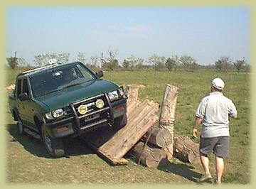 isuzu pickup