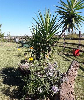 camping campamento jardin naturaleza pic nic aventura cuatriciclos pielta arquitectura bricolage avistaje de aves dia de campo fin de semana buena onda asado jardin de esculturas hierro reciclado animales de metal jardin de colibries salvias picaflor picaflores lagarto overo culebra jardin aves buenos aires observacion de aves rincon de la naturaleza cañuelas laguna pesca mojarras pescar con los chicos pesca con devolucion sembrar mojarras siempre construyendo parque4x4 parque 4x4 pasar el dia amigos cumpleaños festejar cumple quinta campo quincho parrillas 