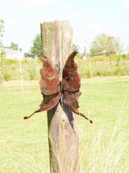 camping campamento jardin naturaleza pic nic aventura cuatriciclos pielta arquitectura bricolage avistaje de aves dia de campo fin de semana buena onda asado jardin de esculturas hierro reciclado animales de metal jardin de colibries salvias picaflor picaflores lagarto overo culebra jardin aves buenos aires observacion de aves rincon de la naturaleza cañuelas laguna pesca mojarras pescar con los chicos pesca con devolucion sembrar mojarras siempre construyendo parque4x4 parque 4x4 pasar el dia amigos cumpleaños festejar cumple quinta campo quincho parrillas baños accesibles duchas camping discapacitados 