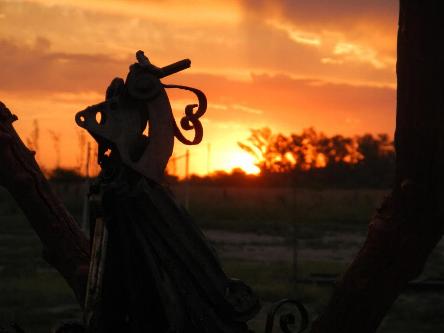 camping campamento jardin naturaleza pic nic aventura cuatriciclos pielta arquitectura bricolage avistaje de aves dia de campo fin de semana buena onda asado jardin de esculturas hierro reciclado animales de metal jardin de colibries salvias picaflor picaflores lagarto overo culebra jardin aves buenos aires observacion de aves rincon de la naturaleza cañuelas laguna pesca mojarras pescar con los chicos pesca con devolucion sembrar mojarras siempre construyendo parque4x4 parque 4x4 pasar el dia amigos cumpleaños festejar cumple quinta campo quincho parrillas baños accesibles duchas camping discapacitados 