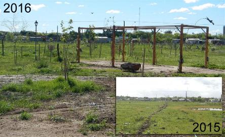 camping campamento jardin naturaleza pic nic aventura cuatriciclos pielta arquitectura bricolage avistaje de aves dia de campo fin de semana buena onda asado jardin de esculturas hierro reciclado animales de metal jardin de colibries salvias picaflor picaflores lagarto overo culebra jardin aves buenos aires observacion de aves rincon de la naturaleza cañuelas laguna pesca mojarras pescar con los chicos pesca con devolucion sembrar mojarras siempre construyendo parque4x4 parque 4x4 pasar el dia amigos cumpleaños festejar cumple quinta campo quincho parrillas baños accesibles duchas camping discapacitados 