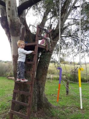 camping campamento jardin naturaleza pic nic aventura cuatriciclos pielta arquitectura bricolage avistaje de aves dia de campo fin de semana buena onda asado jardin de esculturas hierro reciclado animales de metal jardin de colibries salvias picaflor picaflores lagarto overo culebra jardin aves buenos aires observacion de aves rincon de la naturaleza cañuelas laguna pesca mojarras pescar con los chicos pesca con devolucion sembrar mojarras siempre construyendo parque4x4 parque 4x4 pasar el dia amigos cumpleaños festejar cumple quinta campo quincho parrillas baños accesibles duchas camping discapacitados 