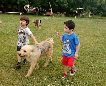 camping campamento jardin naturaleza pic nic aventura cuatriciclos pielta arquitectura bricolage avistaje de aves dia de campo fin de semana buena onda asado jardin de esculturas hierro reciclado animales de metal jardin de colibries salvias picaflor picaflores lagarto overo culebra jardin aves buenos aires observacion de aves rincon de la naturaleza cañuelas laguna pesca mojarras pescar con los chicos pesca con devolucion sembrar mojarras siempre construyendo parque4x4 parque 4x4 pasar el dia amigos cumpleaños festejar cumple quinta campo quincho parrillas baños accesibles duchas camping discapacitados 