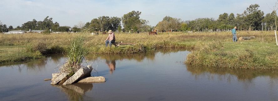 camping campamento jardin naturaleza pic nic aventura cuatriciclos pielta arquitectura bricolage avistaje de aves dia de campo fin de semana buena onda asado jardin de esculturas hierro reciclado animales de metal jardin de colibries salvias picaflor picaflores lagarto overo culebra jardin aves buenos aires observacion de aves rincon de la naturaleza cañuelas laguna pesca mojarras pescar con los chicos pesca con devolucion sembrar mojarras siempre construyendo parque4x4 parque 4x4 pasar el dia amigos cumpleaños festejar cumple quinta campo quincho parrillas baños accesibles duchas camping discapacitados 