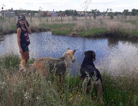 camping campamento jardin naturaleza pic nic aventura cuatriciclos pielta arquitectura bricolage avistaje de aves dia de campo fin de semana buena onda asado jardin de esculturas hierro reciclado animales de metal jardin de colibries salvias picaflor picaflores lagarto overo culebra jardin aves buenos aires observacion de aves rincon de la naturaleza cañuelas laguna pesca mojarras pescar con los chicos pesca con devolucion sembrar mojarras siempre construyendo parque4x4 parque 4x4 pasar el dia amigos cumpleaños festejar cumple quinta campo quincho parrillas baños accesibles duchas camping discapacitados 