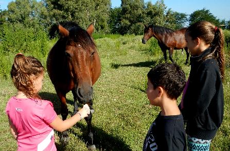 iniciarse al campamento, base, acampada, camping, acampar, camper, refugio, dormi, donde dormir,  cabaña, hospedaje, donde hospedarse, hotel barato, ambiente, sala de maquinas, exclusivo, exclusividad, camping de lujo, glamping argentina, relax, relajarse, relajacion, siesta, tranquilidad, sosiego, estancia, pasto, aire, acondicionado, desayuno, mate en la cama, pileta, sombrilla, colchoneta inflable, fin de semana, week end, sabado, domingo, feriado, fin de semana largo, feriado puente, salida, parejas, turismo rural, viaje, viajecito escapada, viajeta, cerca, capital, pocos km, costa atlantica, autopista zona sur, lobos, cañuelas, san miguel del monte, uribelarrea, udaondo abott, campo, fogon, bolsa de dormir, linternas, mosquitero, pesca, paseos en globo, planeadores, alquiler cuatriciclos, cabalgatas, cabalgar, caballos, parque4x4, smata, maximo paz, vicente casares, ezeiza, horno de barro, asado, amigos, familia, chicos chicos, pequeños, primera experiencia, naturaleza, verde, salir a pescar, hacer un fueguito, leer un libro, tranquilo, hamaca, paraguaya, siesta en los arboles, pastos altos, fogon, parrilla, disco de arado, deportes aventura, escapar de la rutina, quincho, juegos para chicos, escaladores, atardecer, niebla, abierto todo el año, atendido por sus dueños, ropa de cama, frazadas, mangrullo, reposeras, pic-nic, pic nic, campestre, atardecer, pajaros, chacra, las primorosas, chacras del alba, termas del salado, esculturas al aire libre, sala de maquinas, parque 4x4 conduccion defensiva, 4x4 y atv cuatris bosques, pasar el dia, dia de campo, 