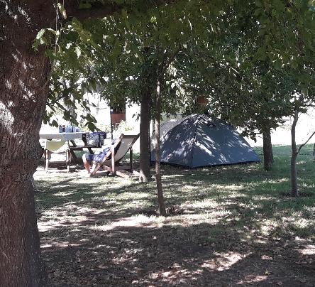 iniciarse al campamento, base, acampada, camping, acampar, camper, refugio, dormi, donde dormir,  cabaña, hospedaje, donde hospedarse, hotel barato, ambiente, sala de maquinas, exclusivo, exclusividad, camping de lujo, glamping argentina, relax, relajarse, relajacion, siesta, tranquilidad, sosiego, estancia, pasto, aire, acondicionado, desayuno, mate en la cama, pileta, sombrilla, colchoneta inflable, fin de semana, week end, sabado, domingo, feriado, fin de semana largo, feriado puente, salida, parejas, turismo rural, viaje, viajecito escapada, viajeta, cerca, capital, pocos km, costa atlantica, autopista zona sur, lobos, cañuelas, san miguel del monte, uribelarrea, udaondo abott, campo, fogon, bolsa de dormir, linternas, mosquitero, pesca, paseos en globo, planeadores, alquiler cuatriciclos, cabalgatas, cabalgar, caballos, parque4x4, smata, maximo paz, vicente casares, ezeiza, horno de barro, asado, amigos, familia, chicos chicos, pequeños, primera experiencia, naturaleza, verde, salir a pescar, hacer un fueguito, leer un libro, tranquilo, hamaca, paraguaya, siesta en los arboles, pastos altos, fogon, parrilla, disco de arado, deportes aventura, escapar de la rutina, quincho, juegos para chicos, escaladores, atardecer, niebla, abierto todo el año, atendido por sus dueños, ropa de cama, frazadas, mangrullo, reposeras, pic-nic, pic nic, campestre, atardecer, pajaros, chacra, las primorosas, chacras del alba, termas del salado, esculturas al aire libre, sala de maquinas, parque 4x4 conduccion defensiva, 4x4 y atv cuatris bosques, pasar el dia, dia de campo, 