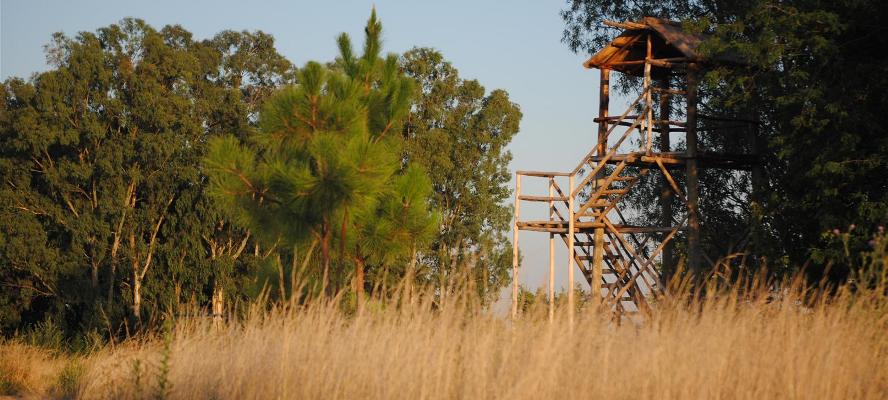 iniciarse al campamento, base, acampada, camping, acampar, camper, refugio, dormi, donde dormir,  cabaña, hospedaje, donde hospedarse, hotel barato, ambiente, sala de maquinas, exclusivo, exclusividad, camping de lujo, glamping argentina, relax, relajarse, relajacion, siesta, tranquilidad, sosiego, estancia, pasto, aire, acondicionado, desayuno, mate en la cama, pileta, sombrilla, colchoneta inflable, fin de semana, week end, sabado, domingo, feriado, fin de semana largo, feriado puente, salida, parejas, turismo rural, viaje, viajecito escapada, viajeta, cerca, capital, pocos km, costa atlantica, autopista zona sur, lobos, cañuelas, san miguel del monte, uribelarrea, udaondo abott, campo, fogon, bolsa de dormir, linternas, mosquitero, pesca, paseos en globo, planeadores, alquiler cuatriciclos, cabalgatas, cabalgar, caballos, parque4x4, smata, maximo paz, vicente casares, ezeiza, horno de barro, asado, amigos, familia, chicos chicos, pequeños, primera experiencia, naturaleza, verde, salir a pescar, hacer un fueguito, leer un libro, tranquilo, hamaca, paraguaya, siesta en los arboles, pastos altos, fogon, parrilla, disco de arado, deportes aventura, escapar de la rutina, quincho, juegos para chicos, escaladores, atardecer, niebla, abierto todo el año, atendido por sus dueños, ropa de cama, frazadas, mangrullo, reposeras, pic-nic, pic nic, campestre, atardecer, pajaros, chacra, las primorosas, chacras del alba, termas del salado, esculturas al aire libre, sala de maquinas, parque 4x4 conduccion defensiva, 4x4 y atv cuatris bosques, pasar el dia, dia de campo, 